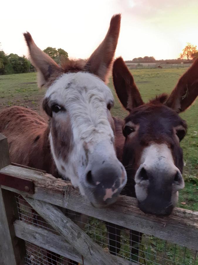 チッペナム Glamping At The Retreat Wiltshire Is Rural Blissヴィラ エクステリア 写真