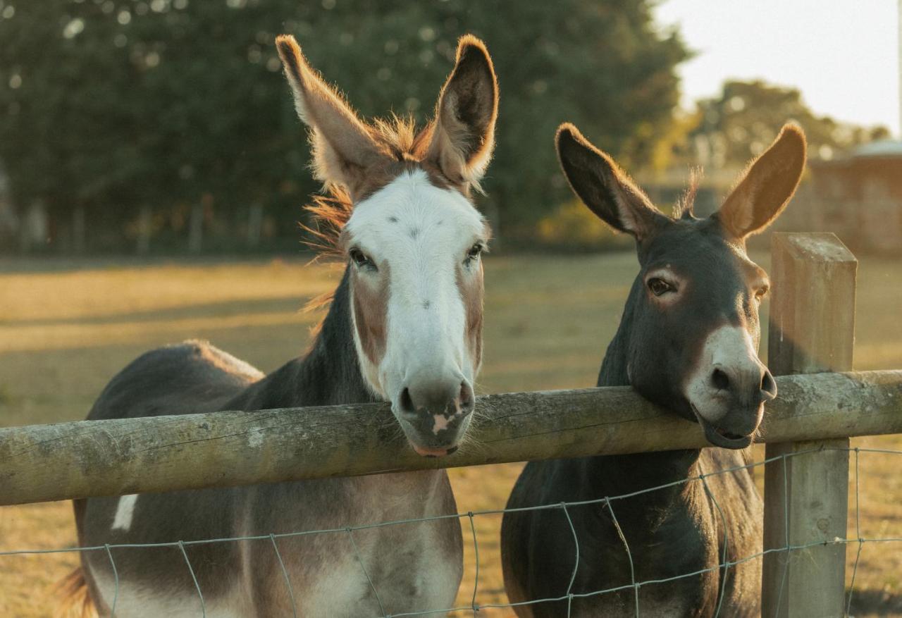 チッペナム Glamping At The Retreat Wiltshire Is Rural Blissヴィラ エクステリア 写真